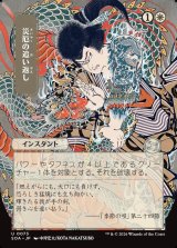 画像: 災厄の追い返し/Repel Calamity