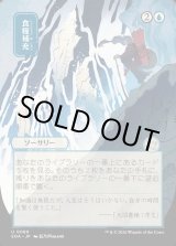 画像: 食糧補充/Stock Up