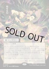 画像: 死せる生/Living End