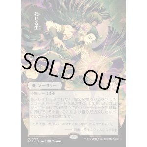 画像: 死せる生/Living End