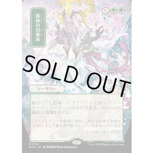 画像: 森林の目覚め/Awaken the Woods