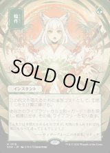 画像: 輪作/Crop Rotation