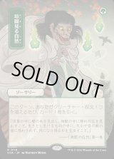 画像: 垣間見る自然/Glimpse of Nature