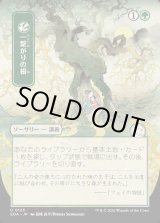 画像: 一繋がりの根/Shared Roots