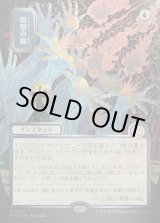 画像: 狼狽の嵐/Flusterstorm