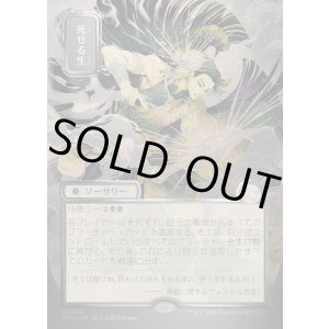 画像: 死せる生/Living End