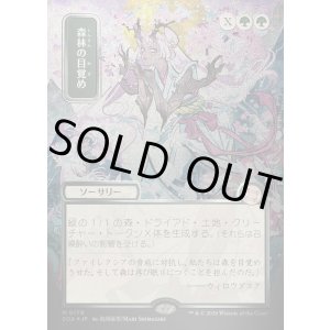 画像: 森林の目覚め/Awaken the Woods