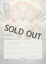 画像: 輪作/Crop Rotation