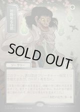 画像: 垣間見る自然/Glimpse of Nature