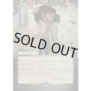 画像: 垣間見る自然/Glimpse of Nature