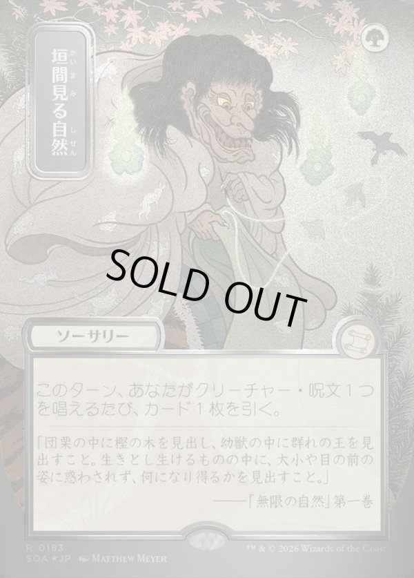 画像1: 垣間見る自然/Glimpse of Nature (1)