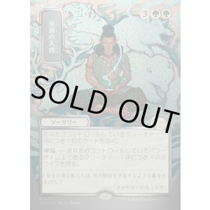 画像: 巫師の天啓/Shamanic Revelation