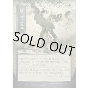 画像: 一繋がりの根/Shared Roots