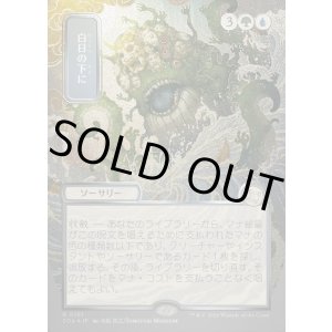 画像: 白日の下に/Bring to Light