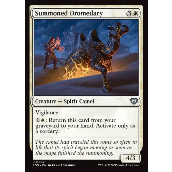 画像2: 召喚されたヒトコブラクダ/Summoned Dromedary (2)