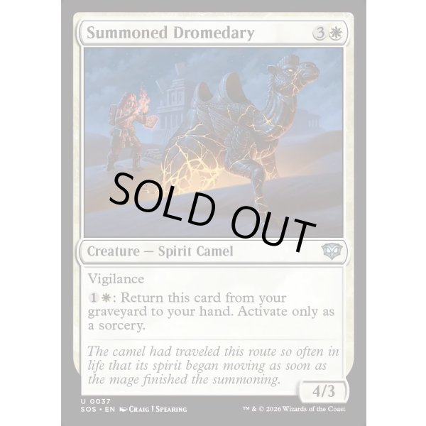 画像2: 召喚されたヒトコブラクダ/Summoned Dromedary (2)