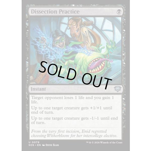 画像2: 解剖実習/Dissection Practice (2)