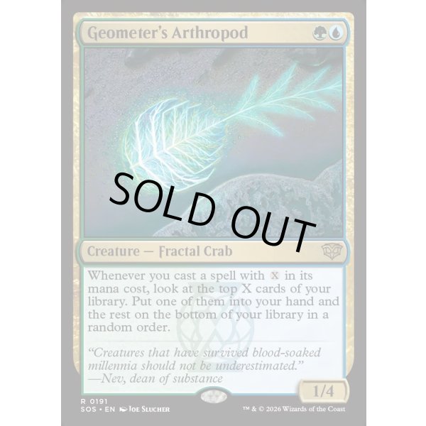 画像2: 幾何学の節足動物/Geometer's Arthropod (2)