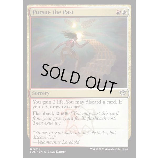 画像2: 過去の追求/Pursue the Past (2)