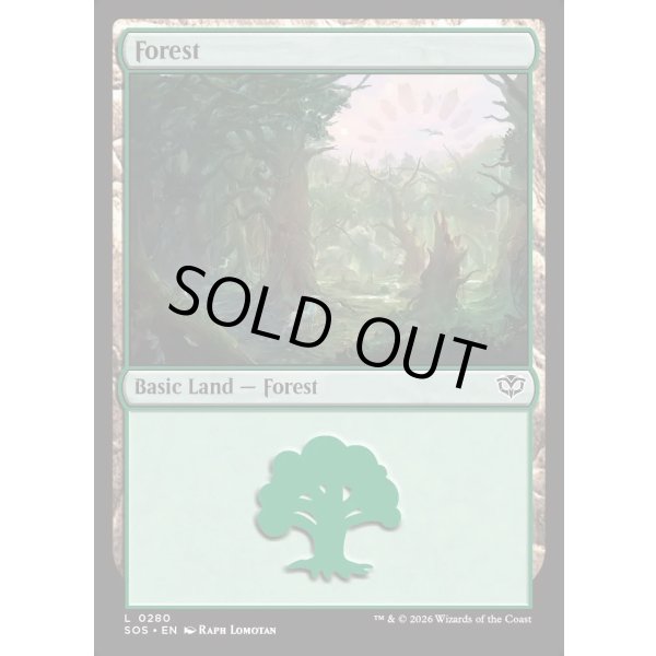 画像2: 森/Forest (2)