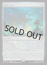 画像: 力を一つに/Together as One