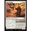 画像1: 休戦の名誉教授/Emeritus of Truce (1)