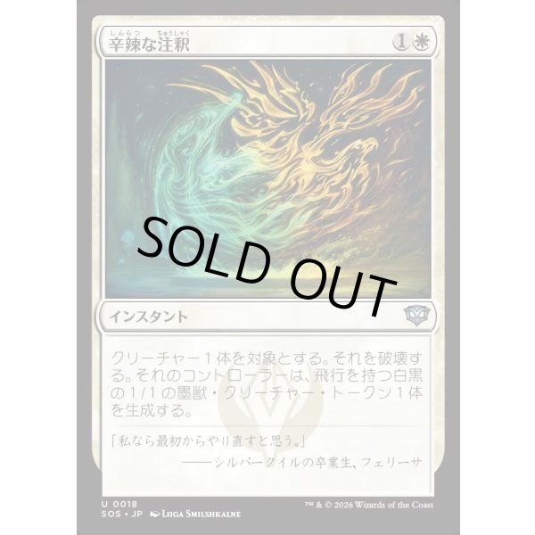 画像1: 辛辣な注釈/Harsh Annotation (1)