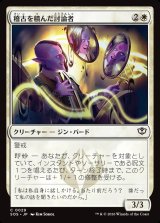 画像: 稽古を積んだ討論者/Rehearsed Debater