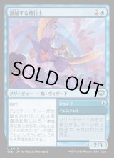 画像: 激励する飛行士/Encouraging Aviator