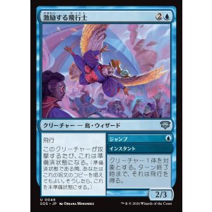 画像: 激励する飛行士/Encouraging Aviator