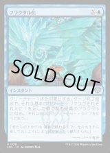 画像: フラクタル化/Fractalize