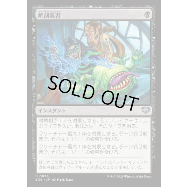 画像1: 解剖実習/Dissection Practice (1)