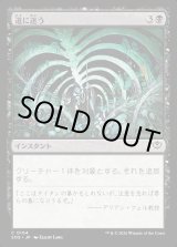 画像: 道に迷う/Wander Off