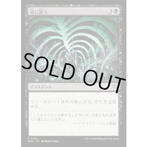 画像: 道に迷う/Wander Off