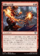 画像: 白熱した口論/Heated Argument