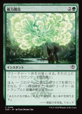 画像: 能力開花/Efflorescence