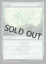 画像: 能力開花/Efflorescence