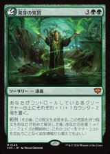画像: 発芽の実習/Germination Practicum