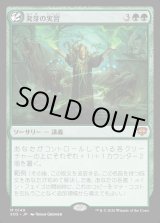 画像: 発芽の実習/Germination Practicum