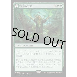 画像: 発芽の実習/Germination Practicum