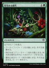 画像: 栄光ある腐朽/Glorious Decay