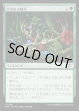 画像: 栄光ある腐朽/Glorious Decay