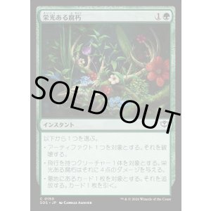 画像: 栄光ある腐朽/Glorious Decay