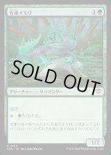 画像: 有毒イモリ/Noxious Newt