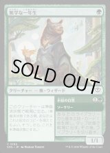 画像: 篤学な一年生/Studious First-Year