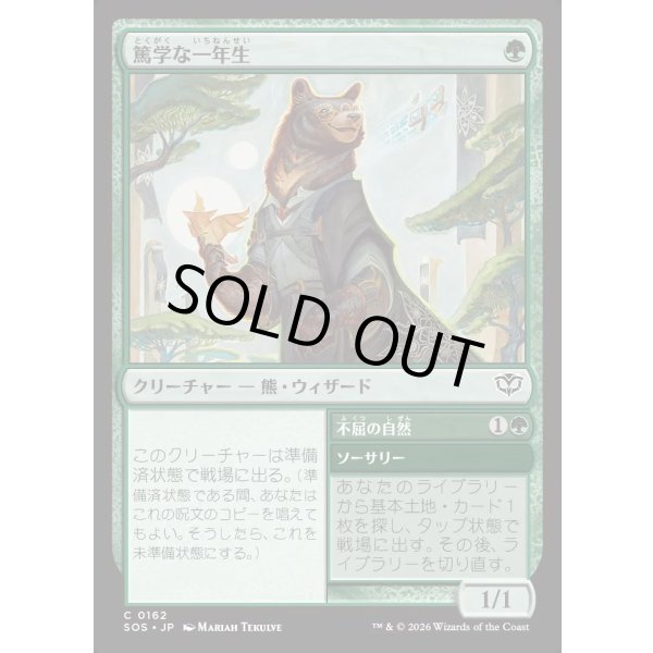 画像1: 篤学な一年生/Studious First-Year (1)