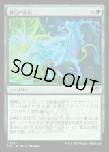 画像: 野生の仮説/Wild Hypothesis