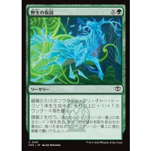 画像: 野生の仮説/Wild Hypothesis