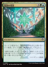 画像: 逆説の受諾/Embrace the Paradox