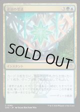 画像: 逆説の受諾/Embrace the Paradox